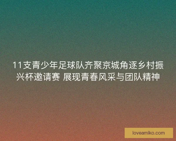 11支青少年足球队齐聚京城角逐乡村振兴杯邀请赛 展现青春风采与团队精神